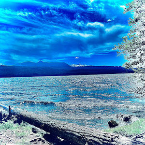 Meet your Posher, Camden